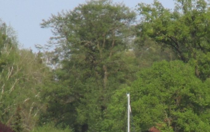 Duits stopwoord. Genau