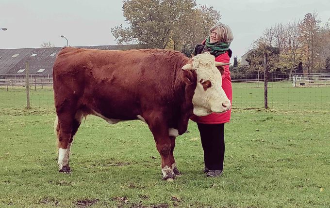 Podcast: Leonie Cornips over de ‘animal turn’ in de taalkunde