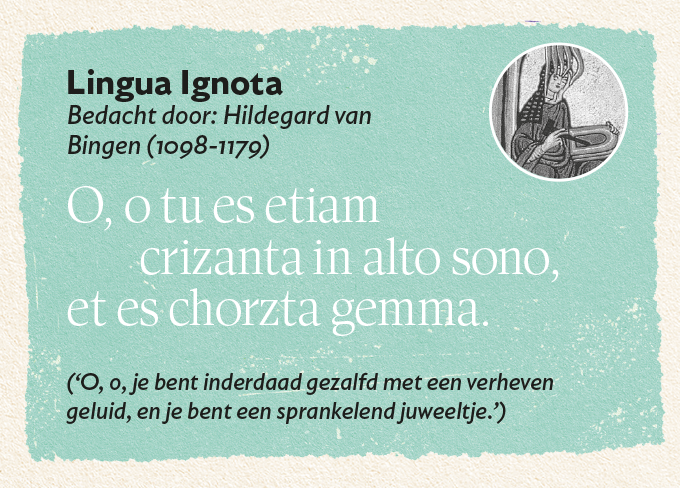 Rolandt Tweehuysen over het Spokaans