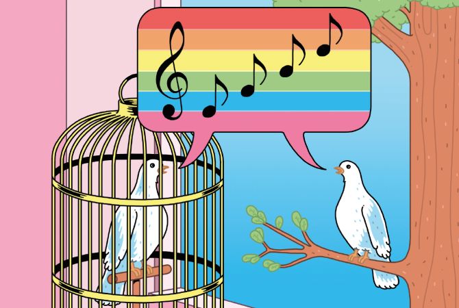 Een jong vakgebied: regenboogtaalkunde