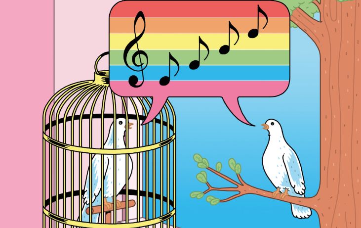 Een jong vakgebied: regenboogtaalkunde