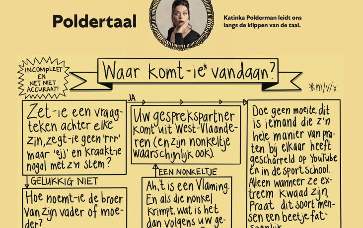 Poldertaal: Waar komt-ie vandaan?
