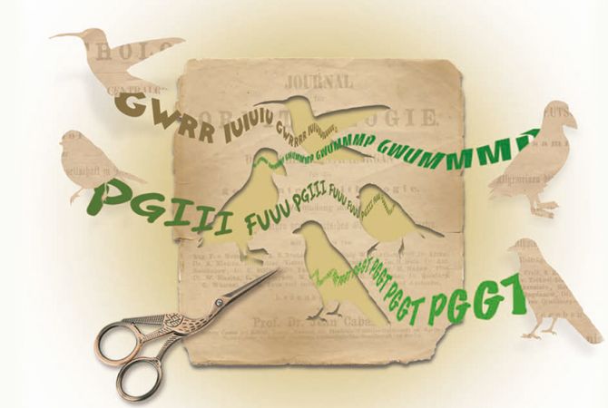 Hoe geef je vogelgeluiden weer in letters?