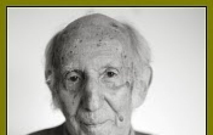 Leo Vroman en de taal