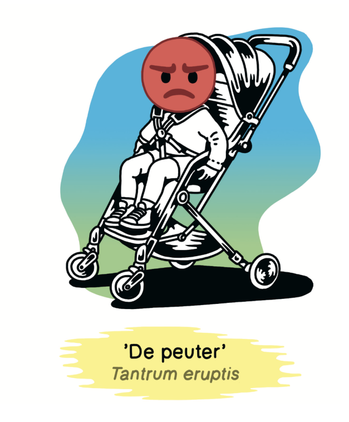 ‘De dochter doet een powernap’