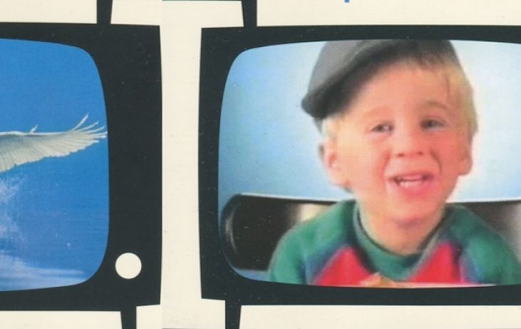 Goeiemoggel – en andere reclameslogans die iedereen kent