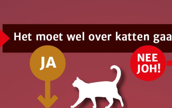 Kieswijzer Japanse romans