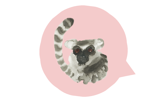 Toelichting dierentaalquiz