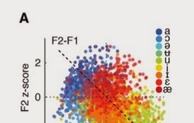 De atomen van de taal in onze hersenen