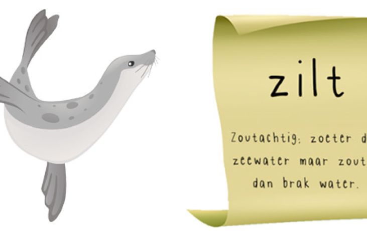 Zilt: gekozen tot hét Waddenwoord